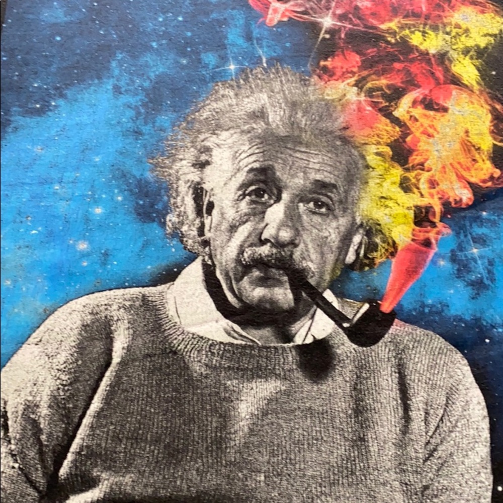 Albert - Picture 4 of 4